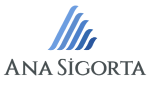ana-sigorta